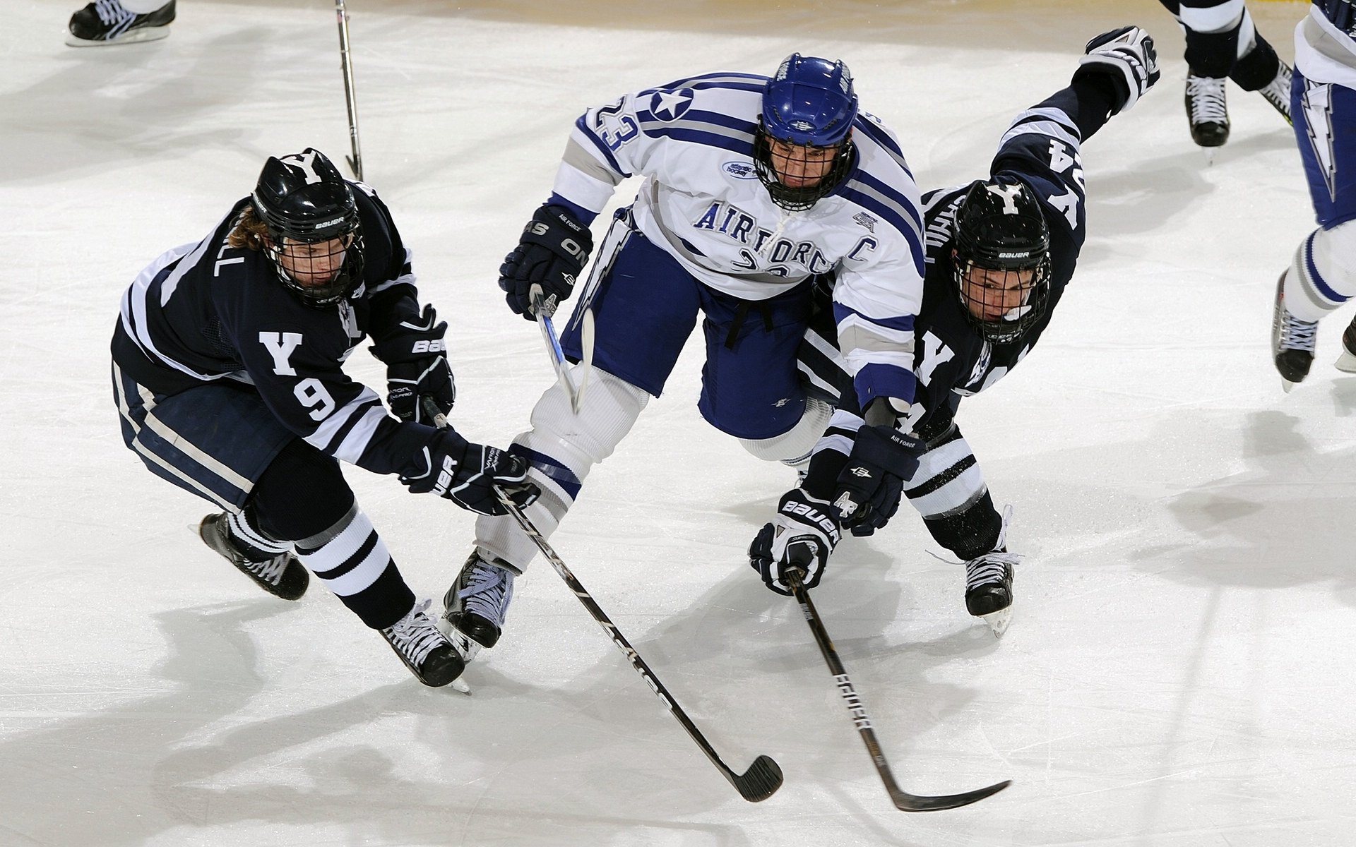 战队安排双语教练助力国际选手沟通顺畅