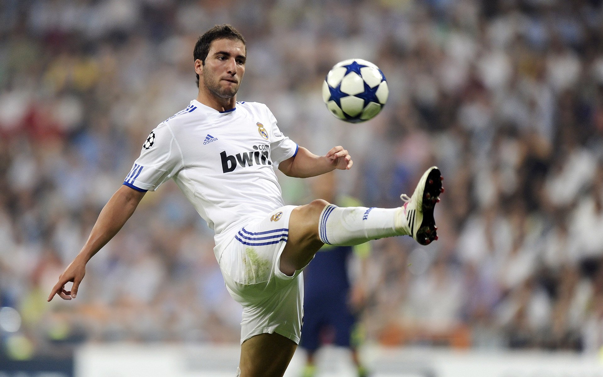 俱乐部粉丝文化：不同国家的狂热追随者